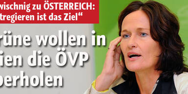 Grüne wollen in Wien die ÖVP überholen