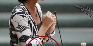 Mit Babybauch im Parlament