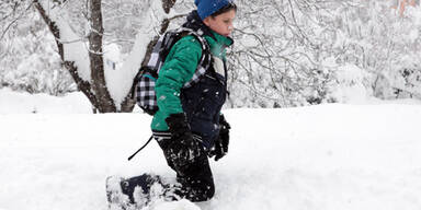 Gleitschnee- Lawinen mitten im Dorf