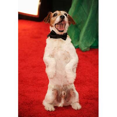 So schön waren die Golden Globes