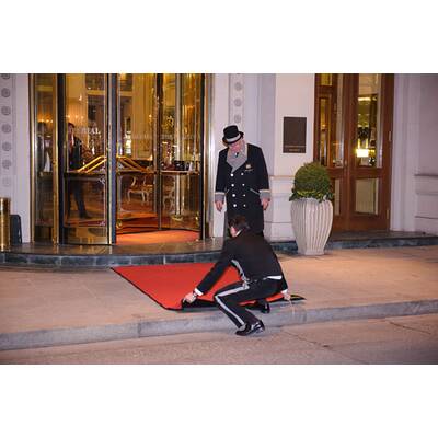 Harald Glööckler: Ankunft in Wien