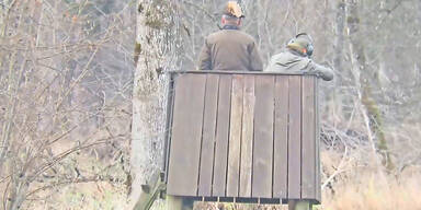 Schuss auf Hasen traf J&auml;ger ins Auge