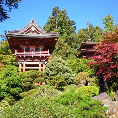Tempelhofer Park, Berlin 