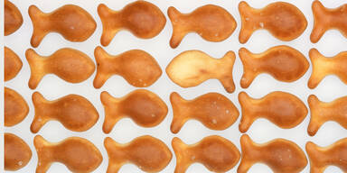 So machen Sie K&auml;se-Goldfischli selbst