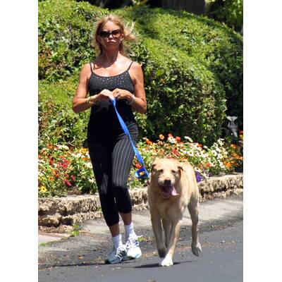 So sehen die Stars beim Gassigehen aus