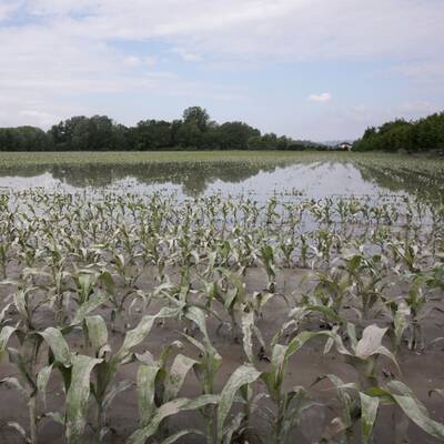 Hochwasser in Österreich