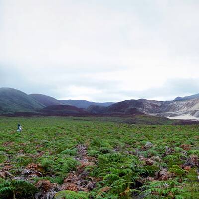 Google auf den Galapagos Inseln