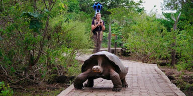 Mit Google auf die Galapagos Inseln