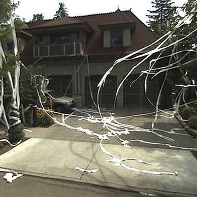 Skurriles auf Google Maps