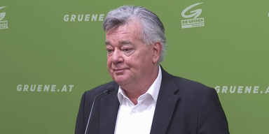 grüne kogler.png