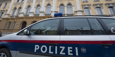 "Stimmen geh&ouml;rt":  Frau legte Feuer