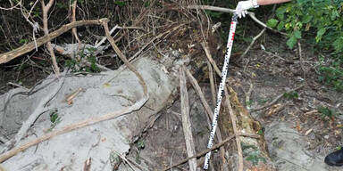 Polizei stoppt Auftragskiller in Wien