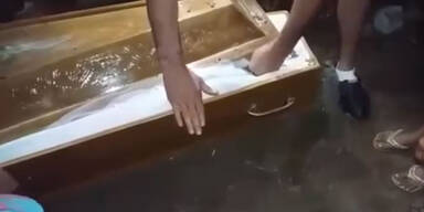 Lebendig begraben: Sie starb nach Tagen