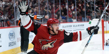 Erfolgserlebnis f&uuml;r Michael Grabner bei Arizona