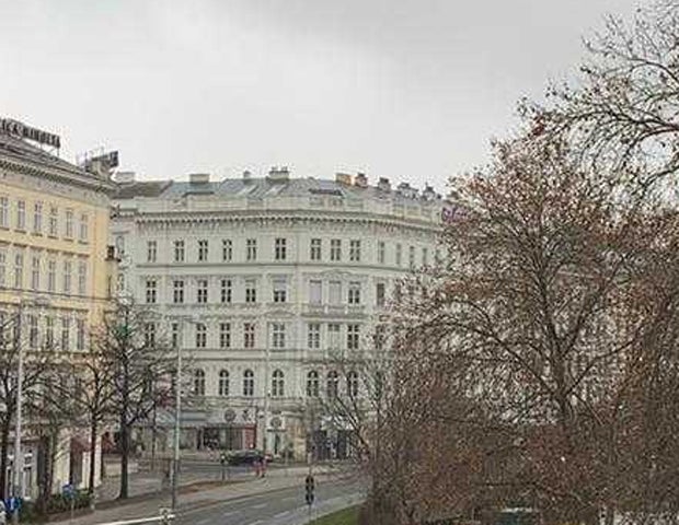 Über dieses Graffiti rätselt Wien