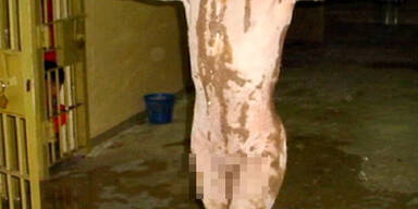 Bislang unbekannte Abu Ghraib-Fotos aufgetaucht