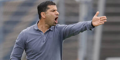 Neuer Trainer: Grieche soll Schalke retten