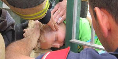 Bub (5) blieb mit Kopf in Haltestelle stecken