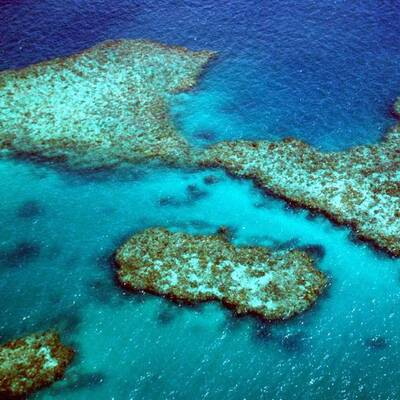 Everglades Nationalpark