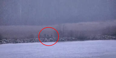 Illegaler Grenzübertritt durch russische Grenzschützer