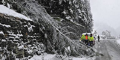 Schnee-Chaos stoppt Züge