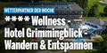 **** Wellness -  Hotel Grimmingblick - Wandern & Entspannen