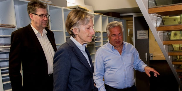 Griss Fellner Schima