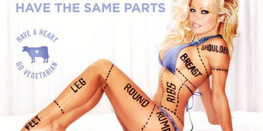 Pam Anderson: Sexy Peta-Plakat verboten