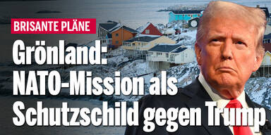 Grönland: NATO-Mission als Schutzschild gegen Trump
