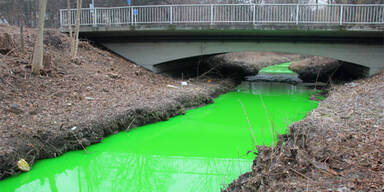 Grone, grüner Fluss in Göttingen