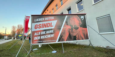 So macht sich SP&Ouml; &uuml;ber "Gsindl"-Chat lustig