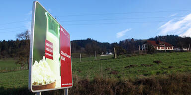 G&ouml;rtschitztal: Heuproben sind HCB-frei