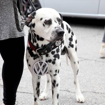 GTI-Treffen 2017 (Teil 2)