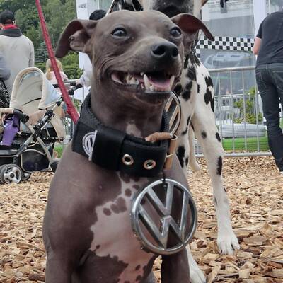 GTI-Treffen 2014 (Tag 2)