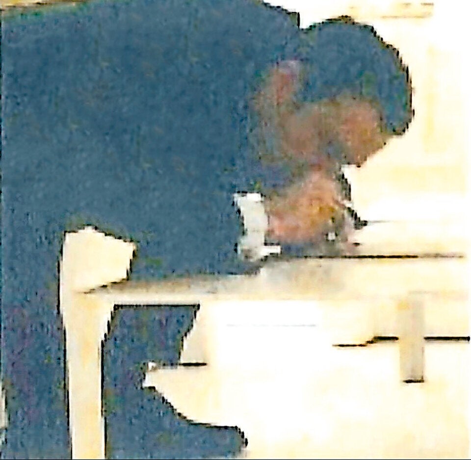 ÖSTERREICH hat den geheimen Ibiza-Akt