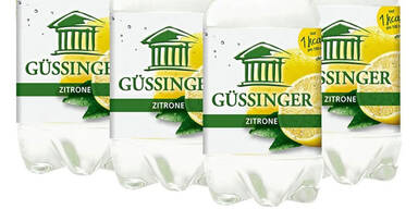 Sanierung von G&uuml;ssinger gescheitert