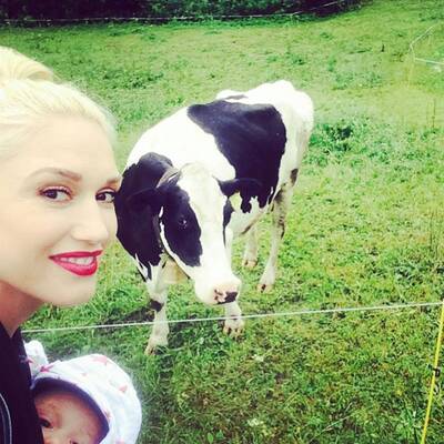 Rette sich, wer kann!