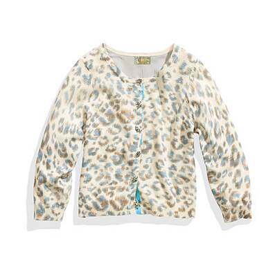 City Safari mit Leo, Zebra und Co. 