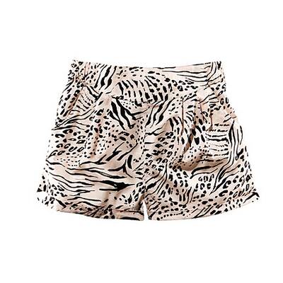 City Safari mit Leo, Zebra und Co. 