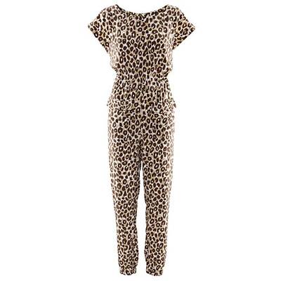 City Safari mit Leo, Zebra und Co. 