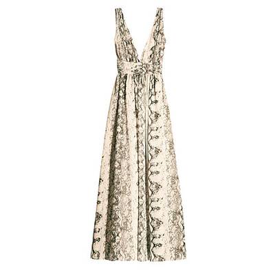 City Safari mit Leo, Zebra und Co. 