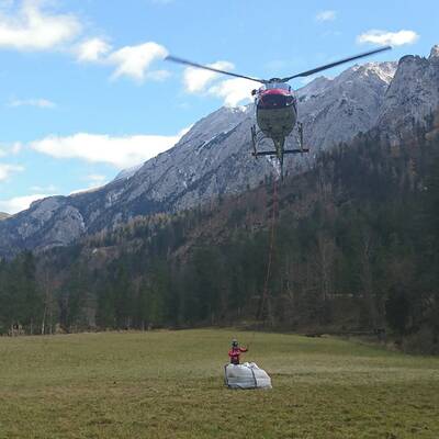 Das war das Jahr 2017