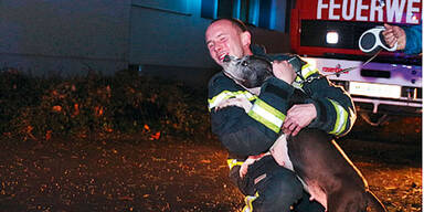 H&uuml;ndin rettete Familie vor Feuer
