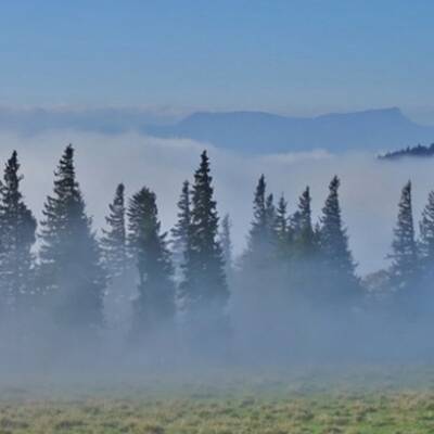 Die Sonne kämpft sich durch