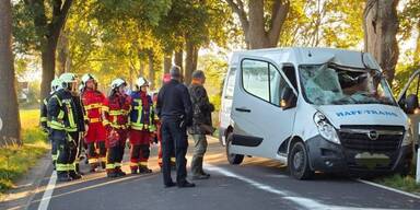 Hirsch kracht durch Windschutzscheibe
