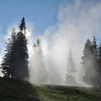 Die Sonne kämpft sich durch
