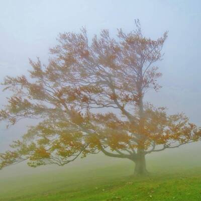 Die Sonne kämpft sich durch