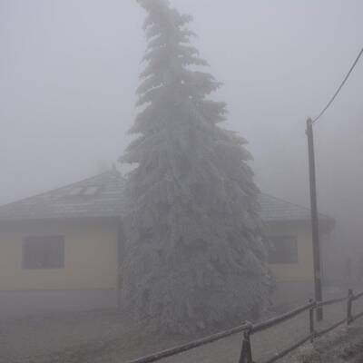 Die Einsatzkräfte sind vor Ort