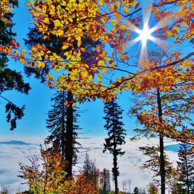 Die Sonne kämpft sich durch