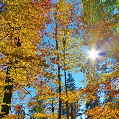 Die Sonne kämpft sich durch